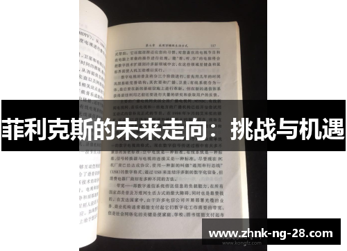 菲利克斯的未来走向：挑战与机遇