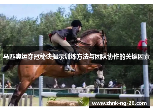 马匹奥运夺冠秘诀揭示训练方法与团队协作的关键因素 马匹奥运夺冠秘诀揭示训练方法与团队协作的关键因素