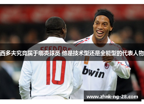 西多夫究竟属于哪类球员 他是技术型还是全能型的代表人物 西多夫究竟属于哪类球员 他是技术型还是全能型的代表人物