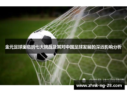 金元足球面临的七大挑战及其对中国足球发展的深远影响分析