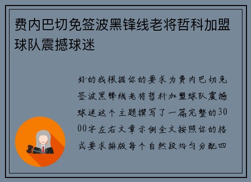 费内巴切免签波黑锋线老将哲科加盟球队震撼球迷
